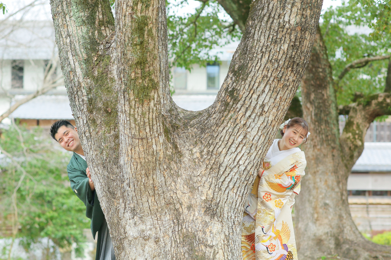 【京都めぐり②祇園白川+円山公園】和装1点(白無垢or色打掛) 補正済みデータ200カット