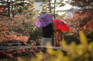 ★プライスダウン！！【梅宮大社・庭園+境内】和装1点 補正済みデータ150カット