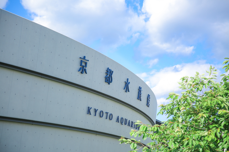 NEW！【京都水族館】洋装1点 補正済みデータ180カット 