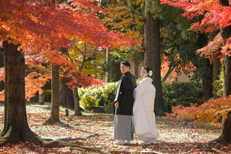 ★早割！【秋の東寺ロケ】 和装1点 補正済みデータ200カット