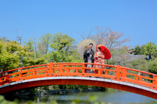 二条城エリア、お太鼓橋のある庭園で撮影できるプランです♪