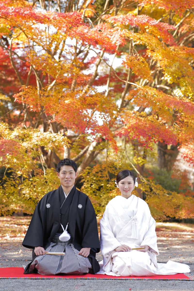 京都が誇る世界遺産！【東寺】和装1点 補正済みデータ200カット