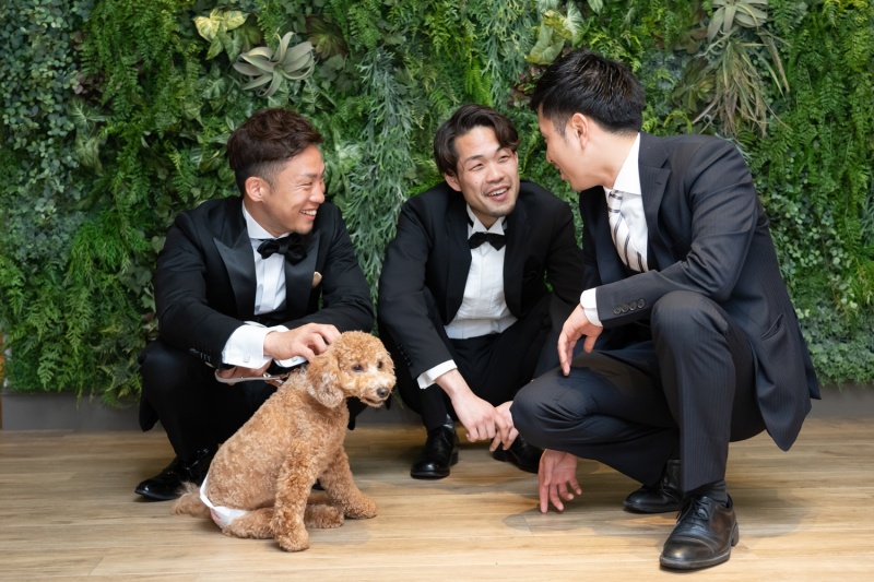 フォトウエディング福山_ペットと一緒に撮影できる