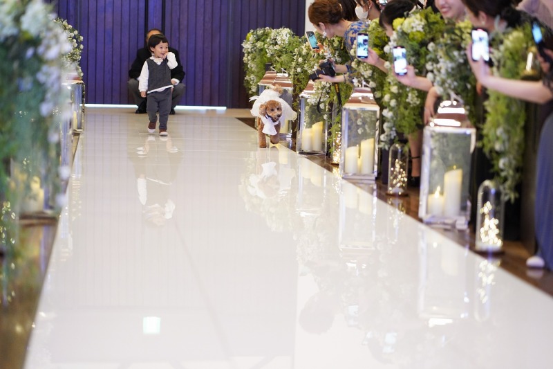 フォトウエディング福山_ペットと一緒に撮影できる