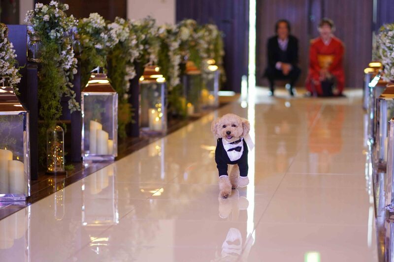 【愛犬の参加もOK】ペットと過ごせる挙式ができる
