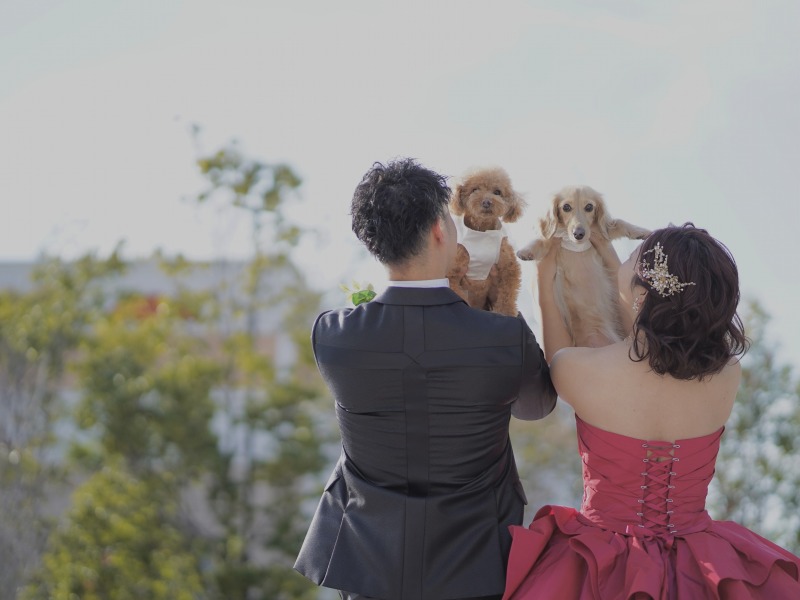 広大な敷地は豊富なシーンからお好みの場所をセレクト