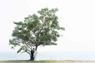 フォトウエディング福山_ロケーション撮影（洋装）