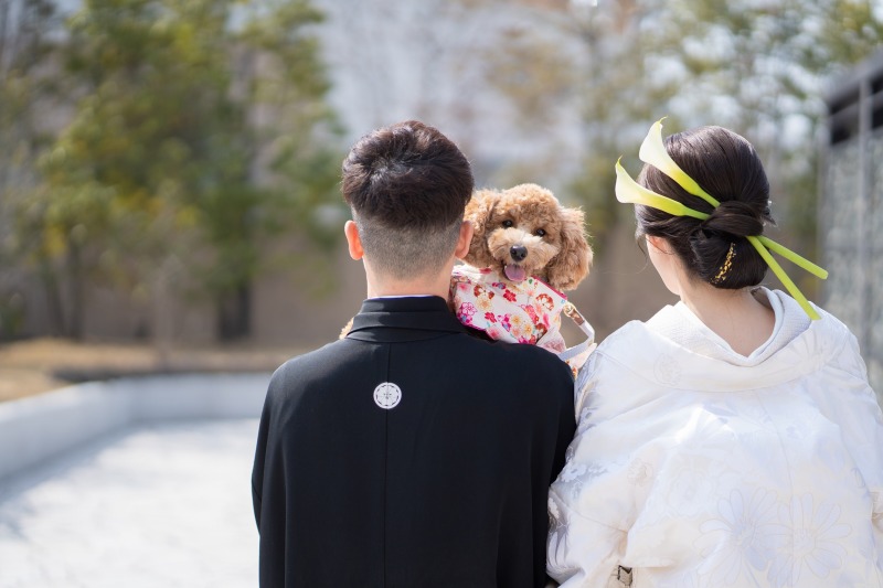 フォトウエディング福山_ペットと一緒に撮影できる