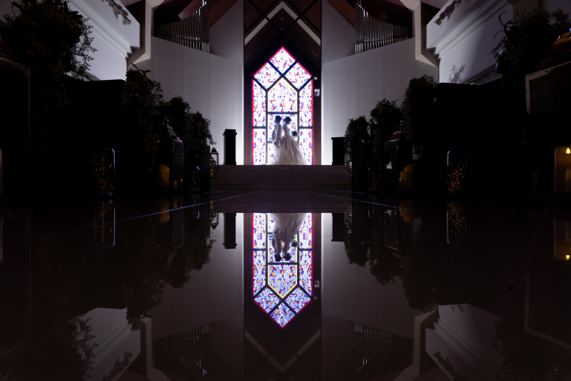 【NEW】全データ付|本格チャペル撮影撮り放題プラン