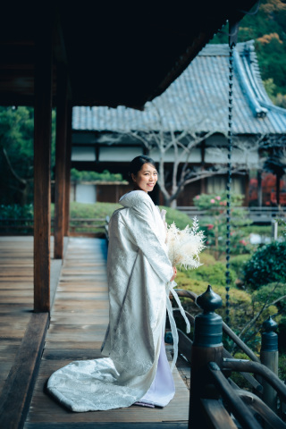 菊唐草(きくからくさ)