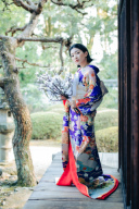 引き振袖【紫莉】(しおり)