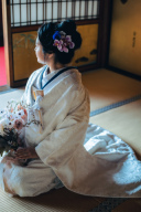 菊唐草×シャンパンゴールド