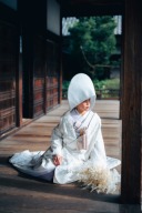 菊唐草×藤×ベージュ