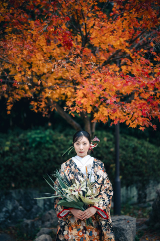 響（ひびき）×　ベージュ六角