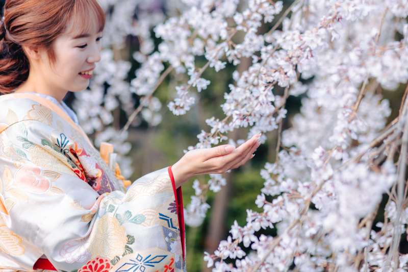 新婦のやさしさがあふれる桜とのフォト