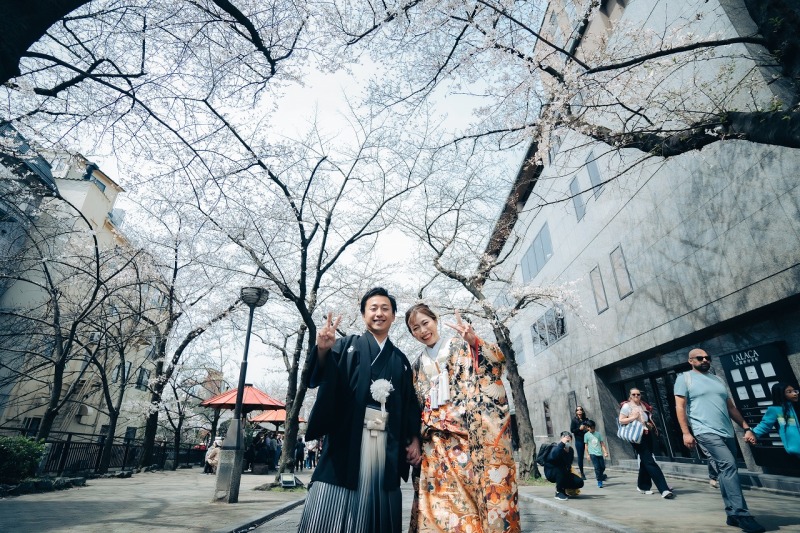 空高く、桜の下