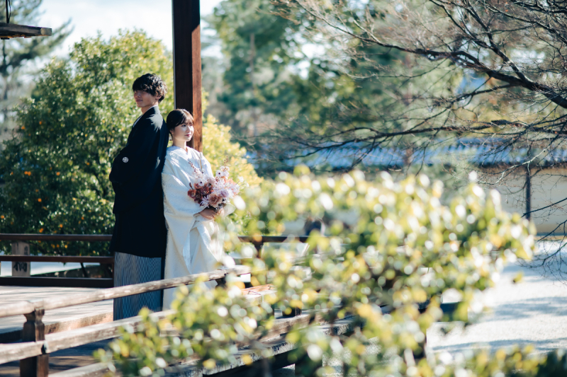 日本建築と緑の色どりで