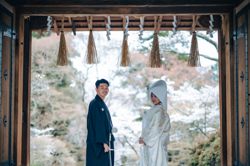 桜の名所とされているスポットで