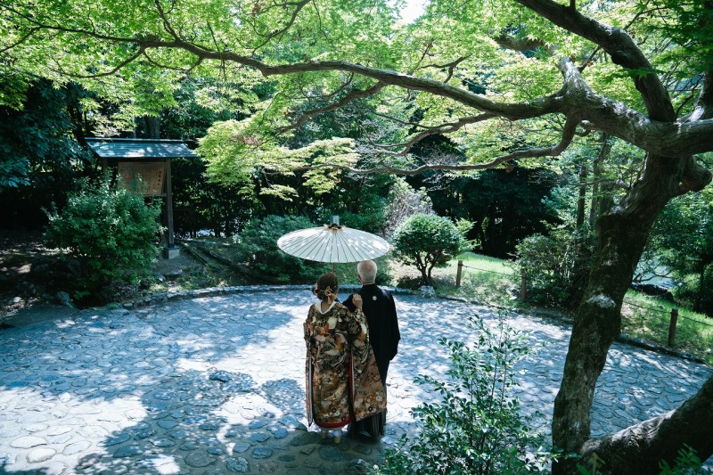風情溢れる景色