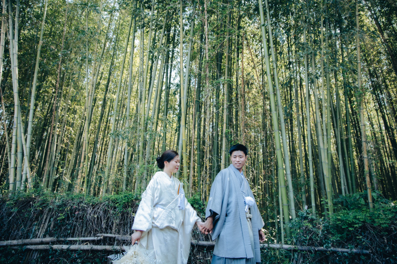 深く雄大な竹林を往く