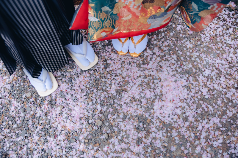 足元には桜が一面に広がる