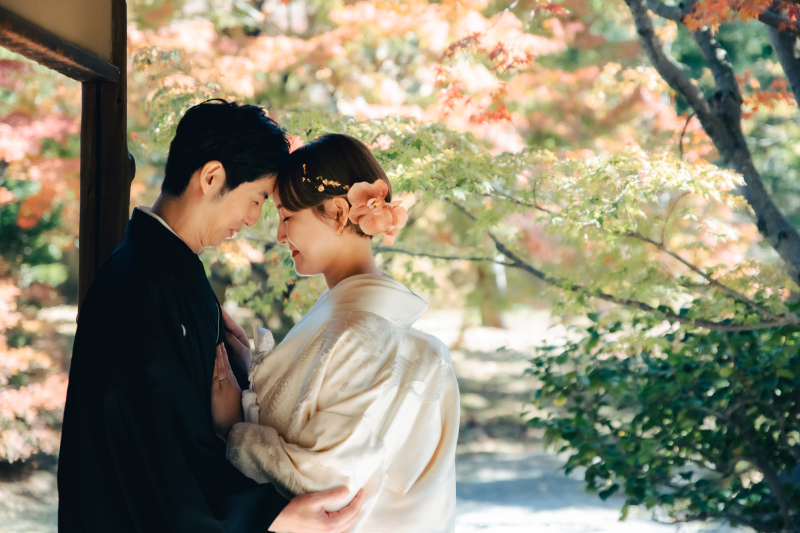 紅葉がばっちり