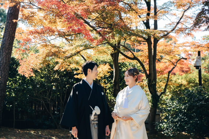 素敵なお写真が沢山