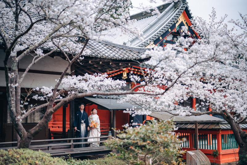 美しい景色と共に