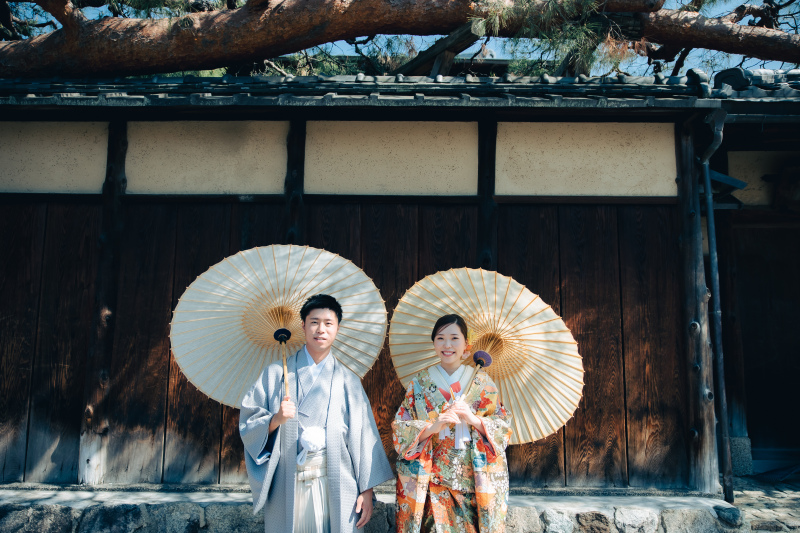 頭上の松の木の歴史を感じて