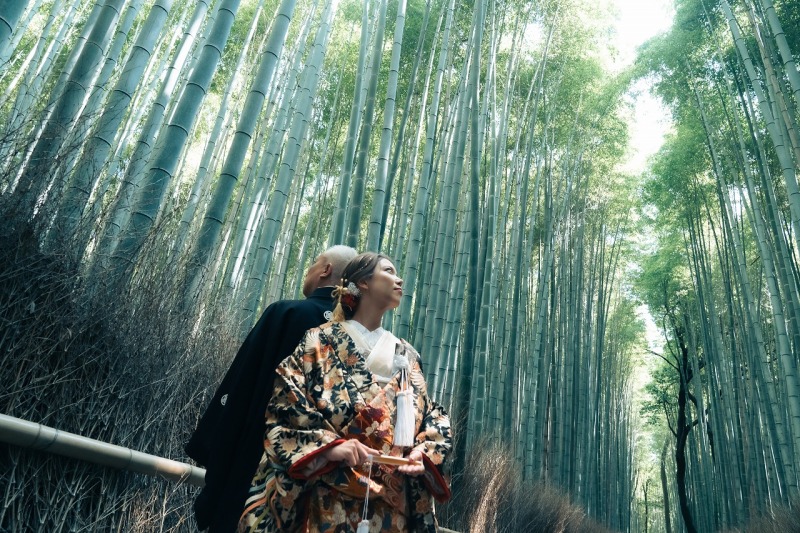 竹林で