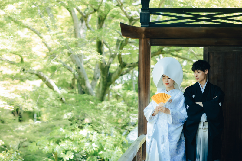 新緑と共に写る姿は美しく