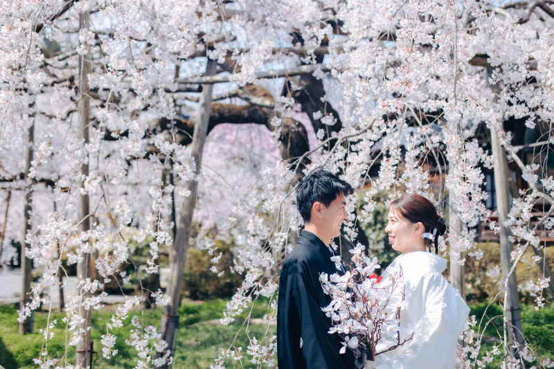 枝垂桜の中で見つめ合い