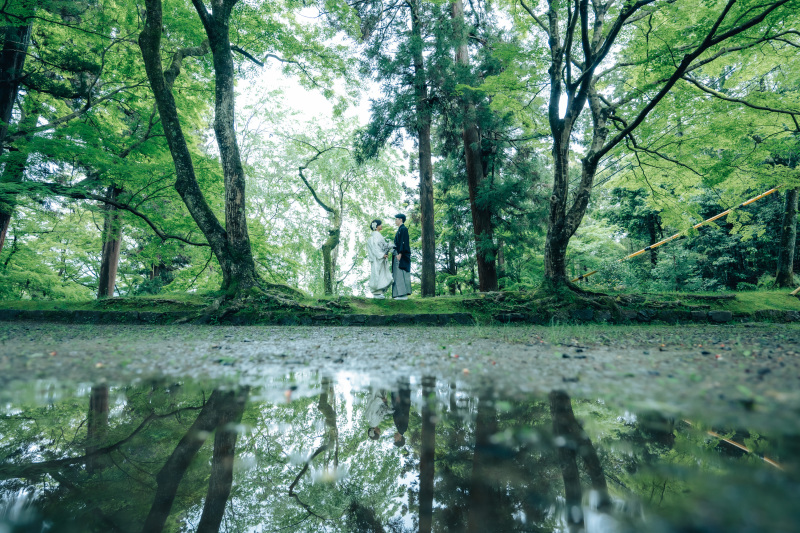 輝く緑に包まれて