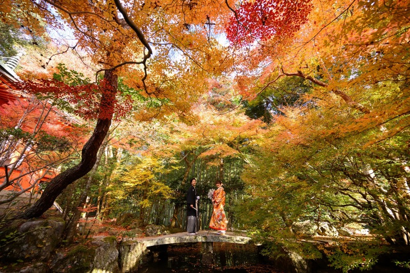 秋色が祝福する橋の上