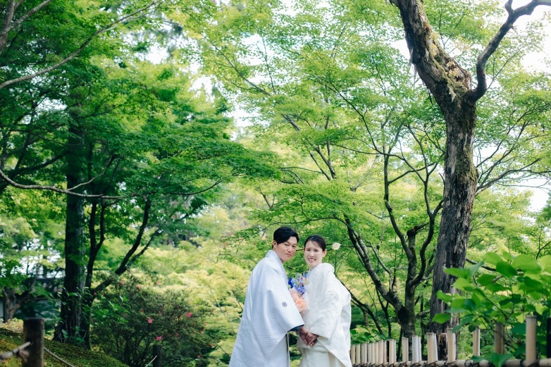 いきいきとした緑