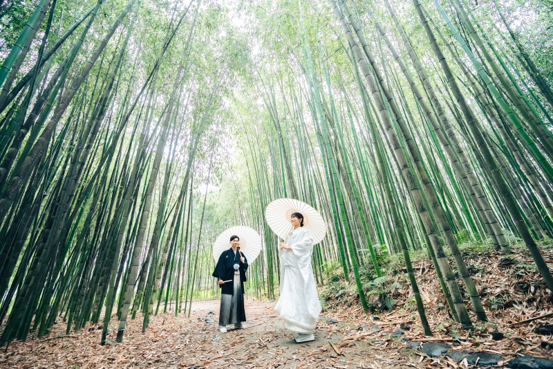 竹林の中で一枚を