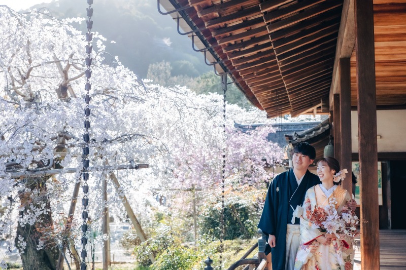 樹齢は約150年、5代目の壮観なしだれ桜と一緒に