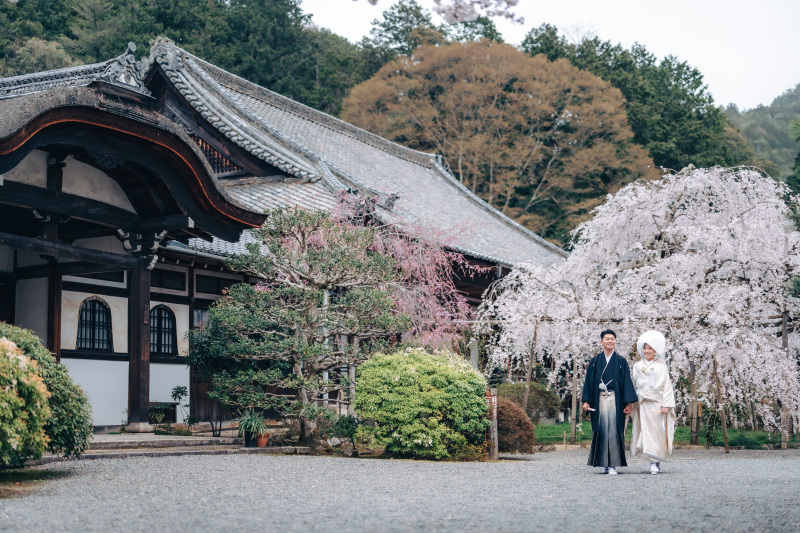 まるで散策のような一枚