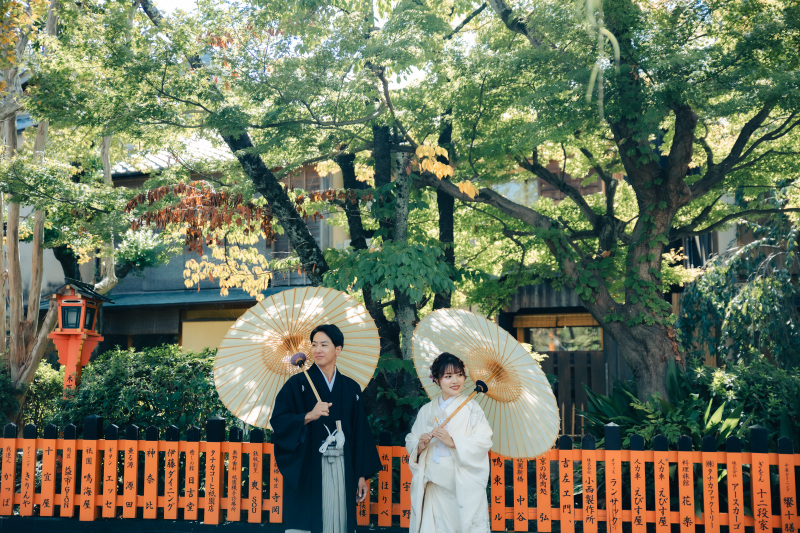 光の入り方が綺麗です