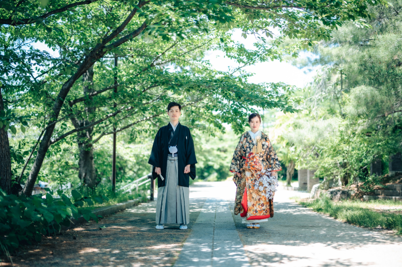 一面緑に包まれて