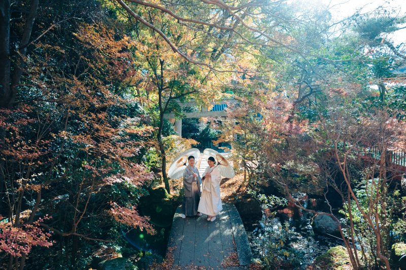 庭園の深い色味に包まれた中での一枚