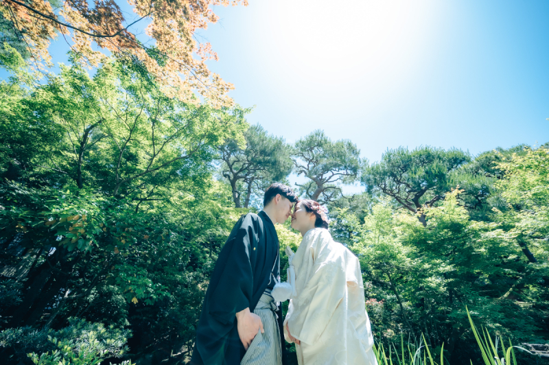 快晴に恵まれた一日では自然光美しい一枚を