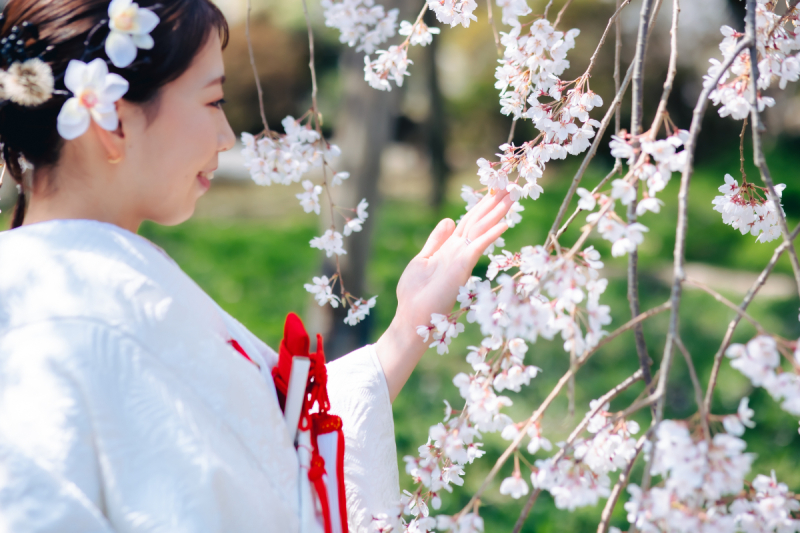 桜に手を添えるその姿を