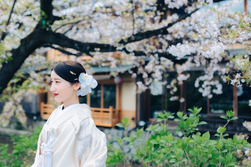 胡蝶蘭の髪飾り