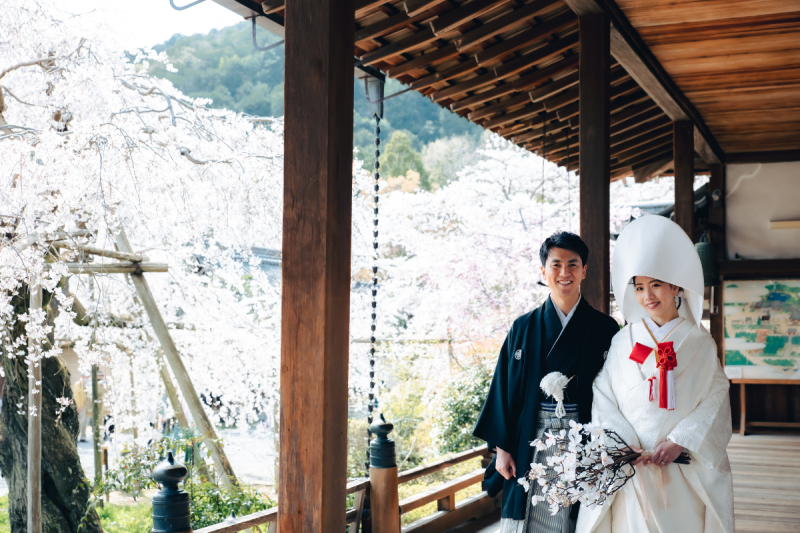 ゆっくり歩みを進める雅な姿