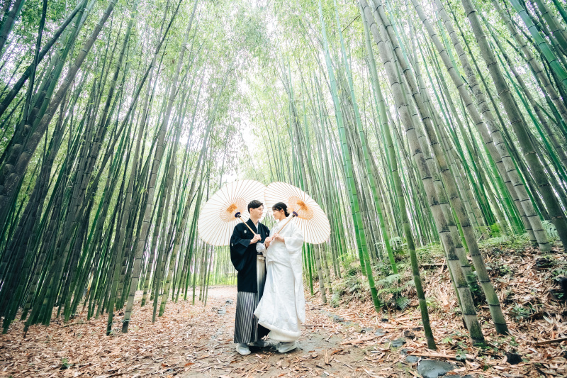和の雰囲気が漂う竹林の中で
