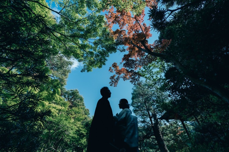 シルエット風に