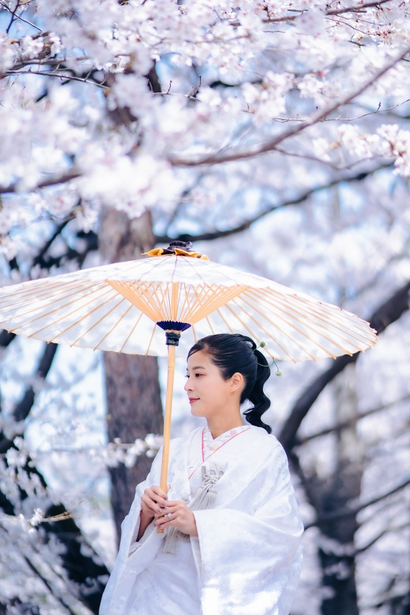 20以上ある撮影シーン