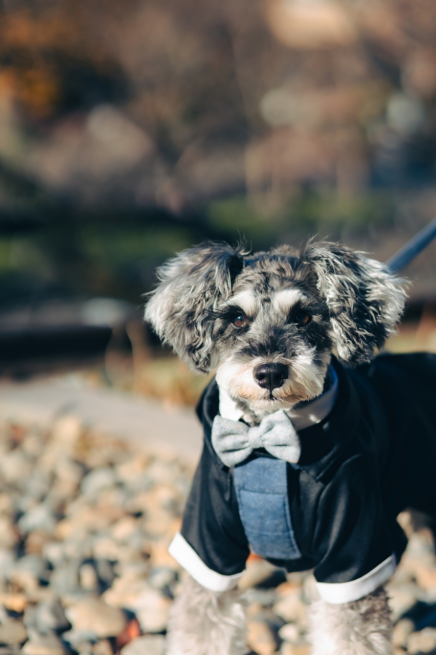 20以上ある撮影シーン