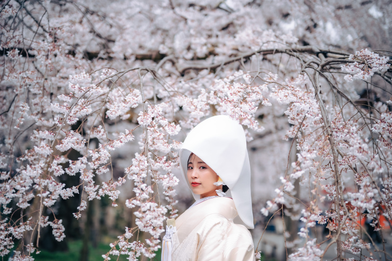 一花写真館｜ICHIHANA_【桜フォト】春の訪れを感じる桜の下でウエディングフォト